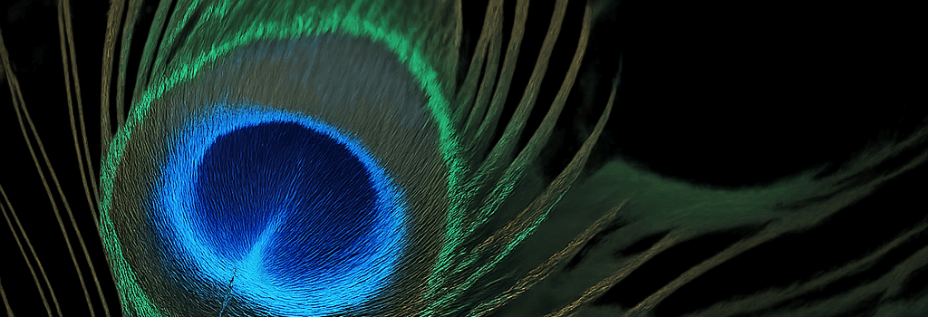 Peacock Feathers as Biolasers: Emitting Dual-Frequency Light image